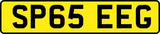 SP65EEG