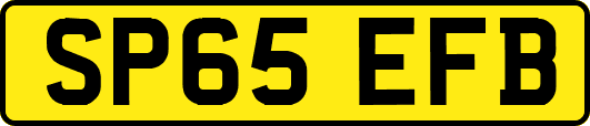 SP65EFB