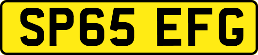 SP65EFG