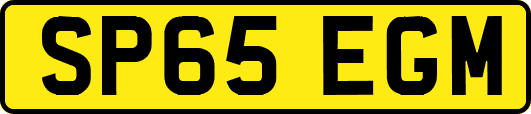 SP65EGM