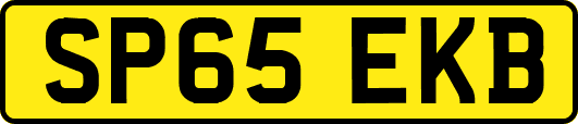 SP65EKB