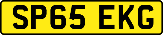 SP65EKG