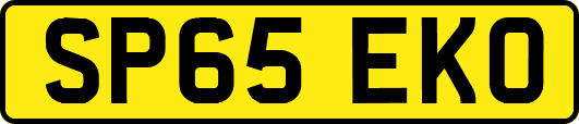 SP65EKO