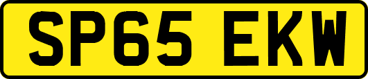 SP65EKW