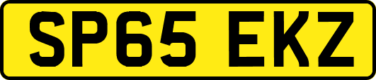 SP65EKZ
