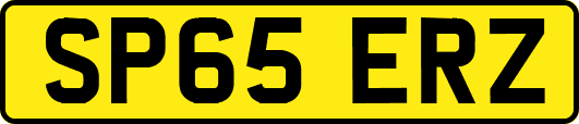 SP65ERZ