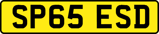 SP65ESD