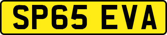 SP65EVA