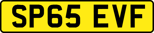 SP65EVF