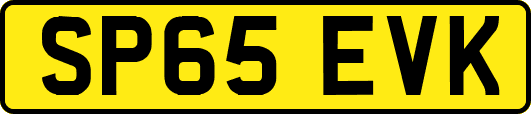 SP65EVK