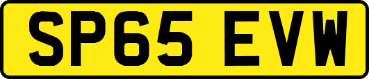 SP65EVW