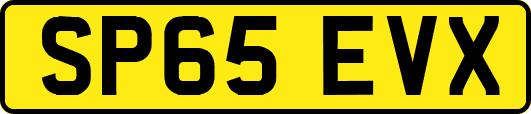 SP65EVX