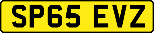 SP65EVZ