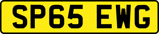 SP65EWG