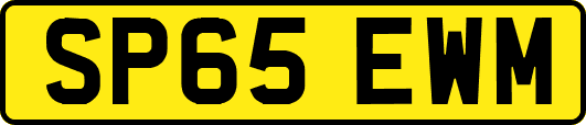 SP65EWM