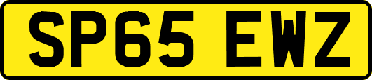 SP65EWZ