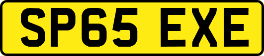 SP65EXE