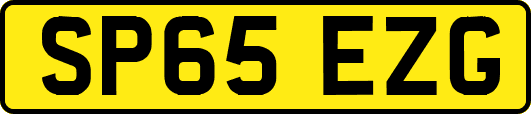SP65EZG