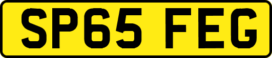SP65FEG