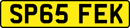 SP65FEK