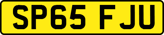 SP65FJU