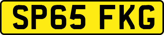 SP65FKG