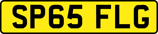 SP65FLG