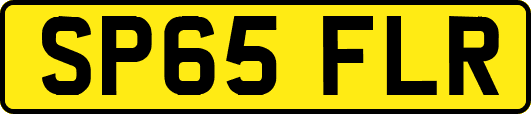 SP65FLR
