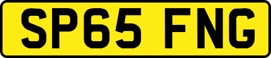 SP65FNG