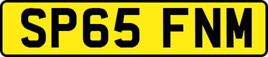 SP65FNM