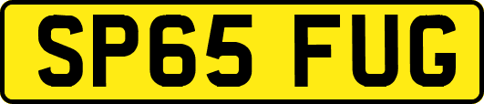 SP65FUG