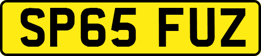 SP65FUZ