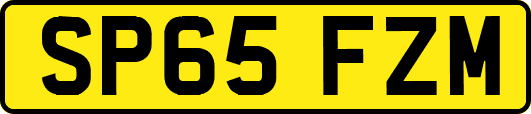 SP65FZM