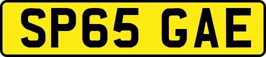 SP65GAE