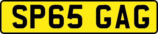 SP65GAG