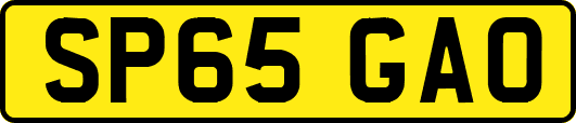SP65GAO