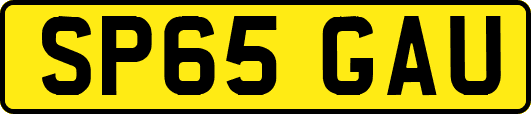 SP65GAU