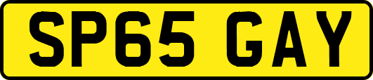 SP65GAY
