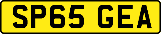 SP65GEA