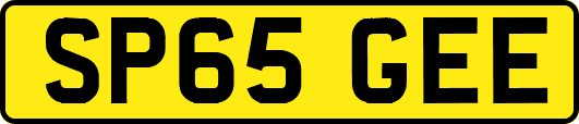 SP65GEE