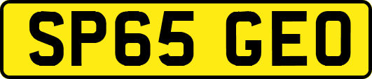 SP65GEO