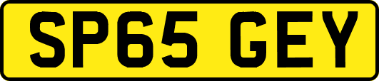 SP65GEY