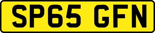 SP65GFN