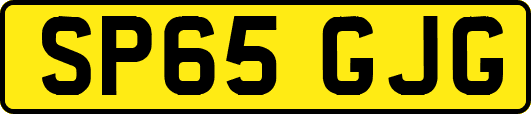SP65GJG