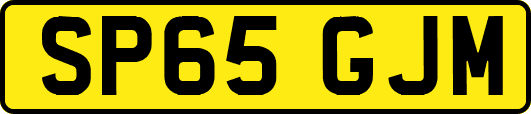 SP65GJM