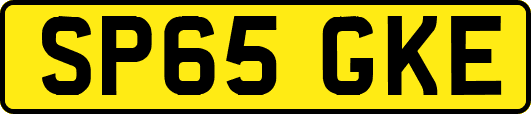 SP65GKE
