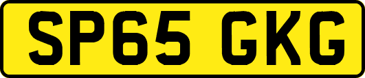 SP65GKG