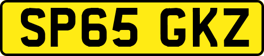 SP65GKZ