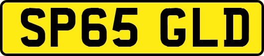 SP65GLD