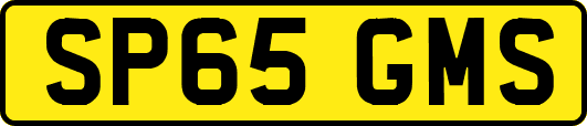SP65GMS